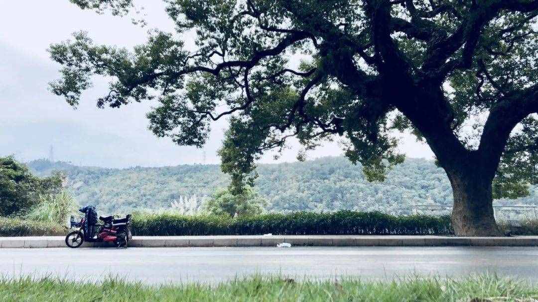 大V推荐