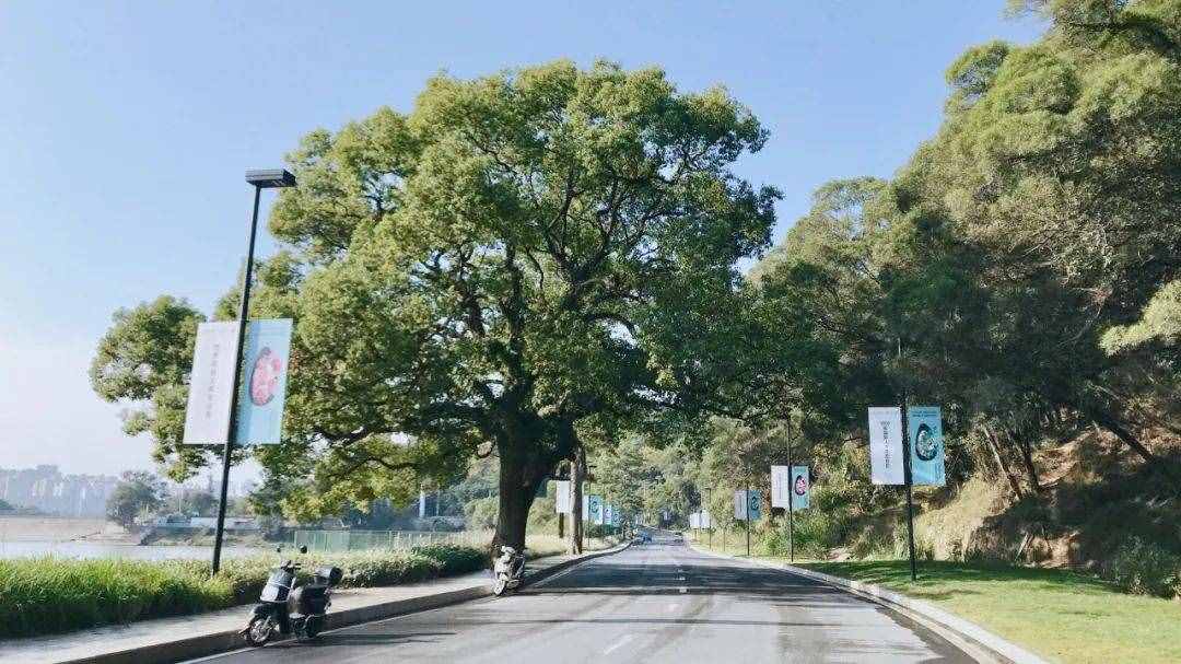 大V推荐
