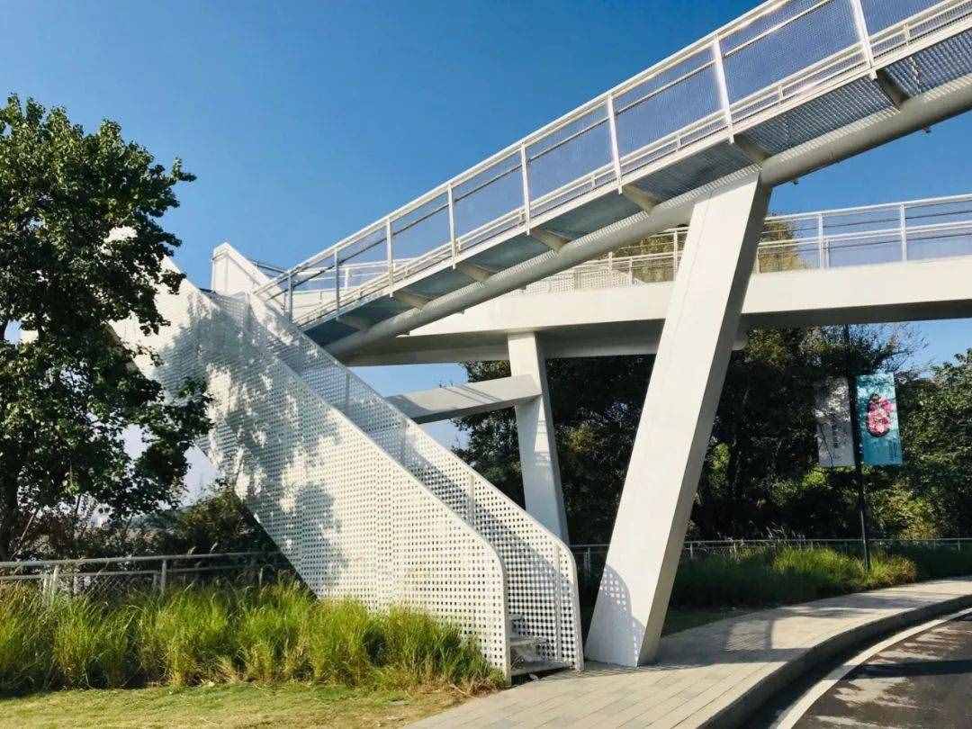 大V推荐