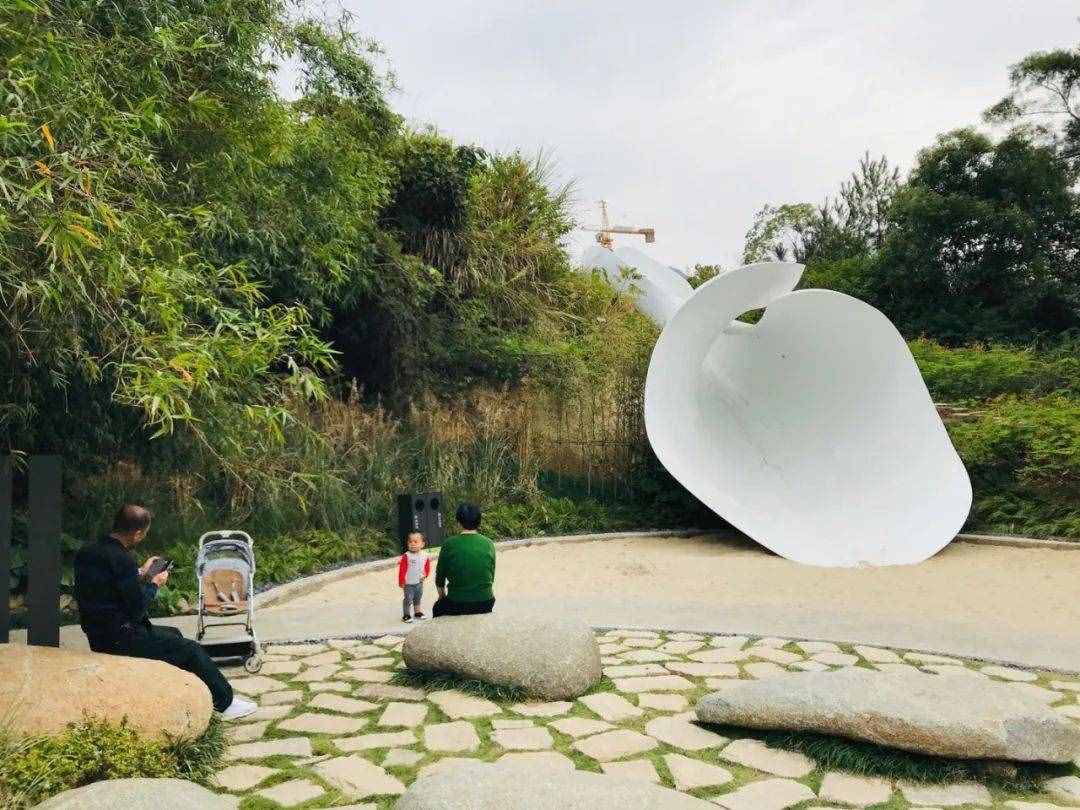大V推荐