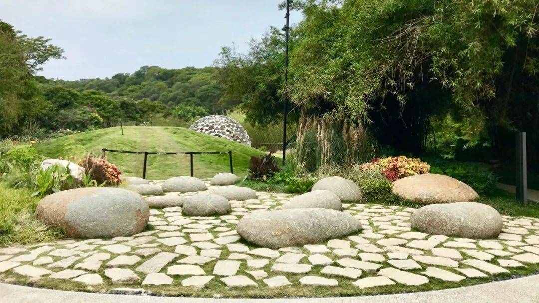 大V推荐