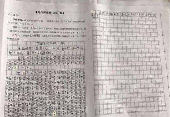 小学生“0分作文”走红，老师看完笑岔气，网友：职业生涯的考验