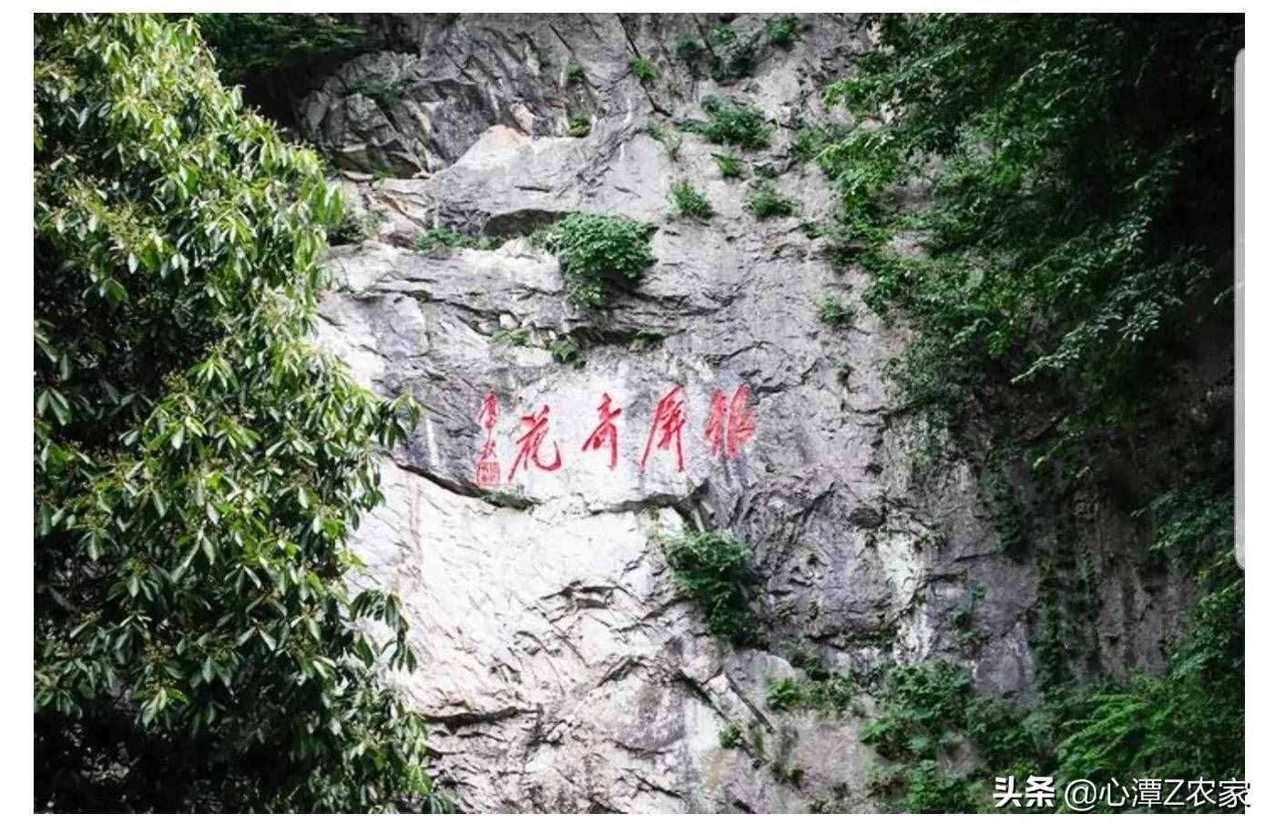 三分巢湖后，被捧在手心的“居巢区”