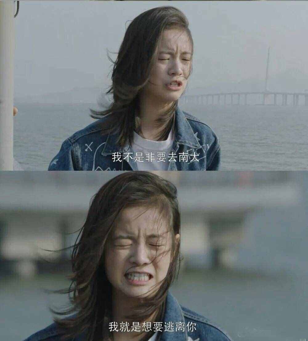 刺猬的拥抱｜告诉你决定人类情感和谐最重要的三个字是什么