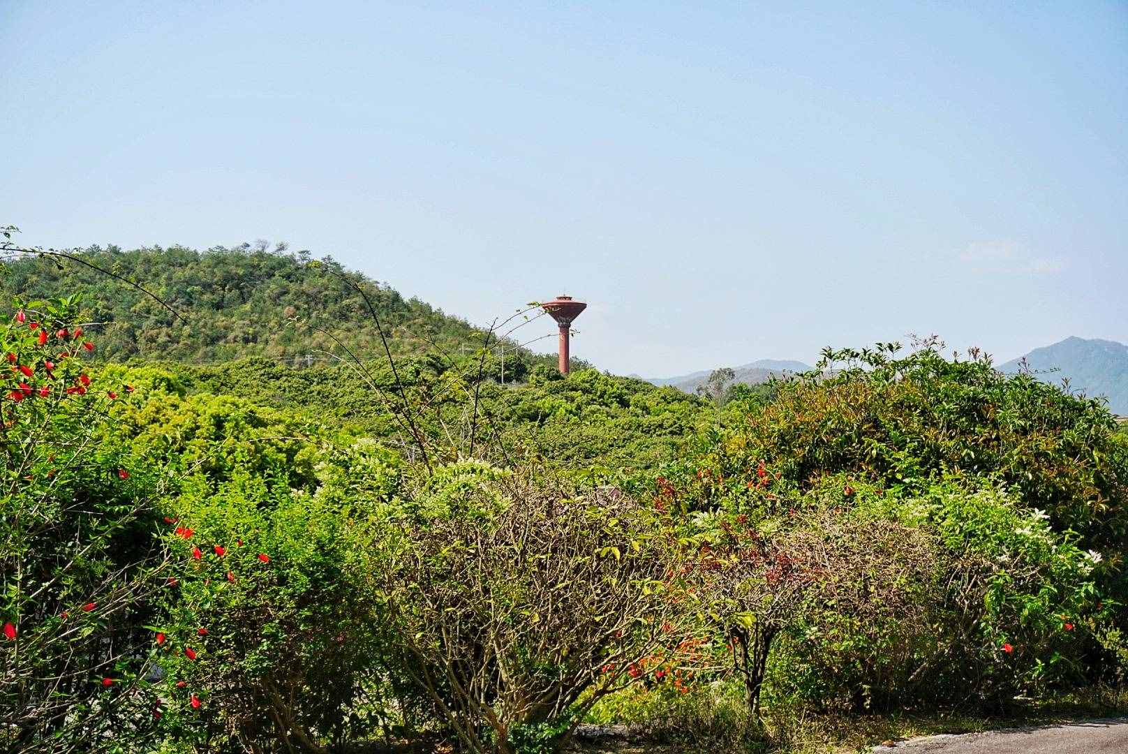 中国第一所民办本科高校，学校风景优美，不输厦门大学
