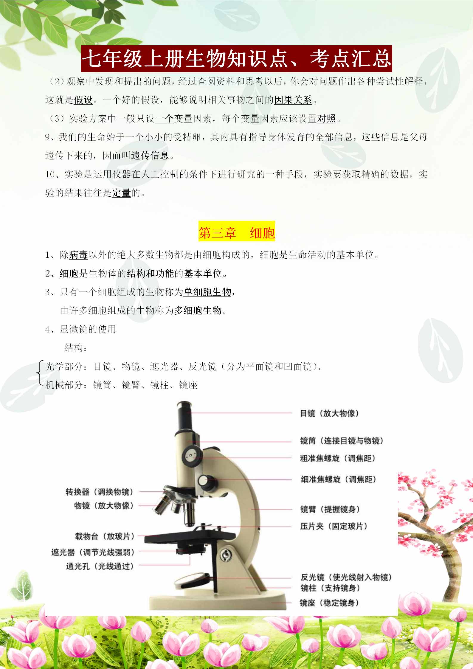 七年级上册生物必背知识点、考点汇总，这样背记节省80%的时间