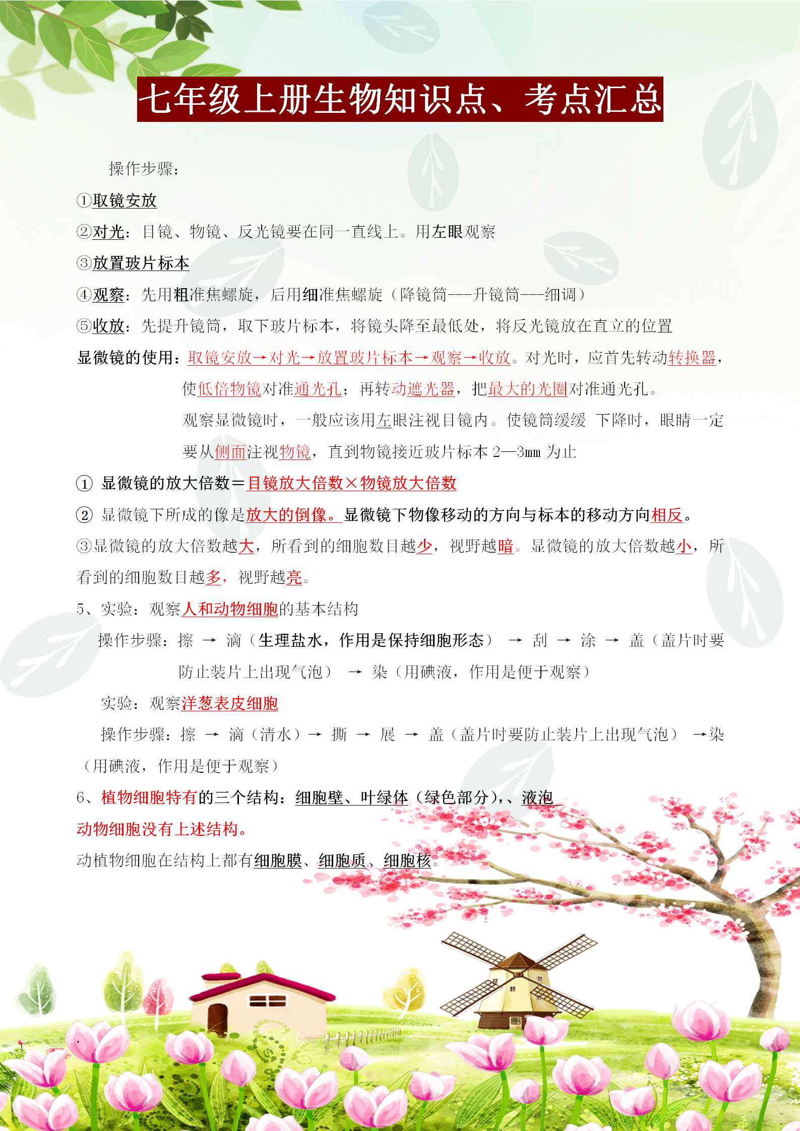 七年级上册生物必背知识点、考点汇总，这样背记节省80%的时间