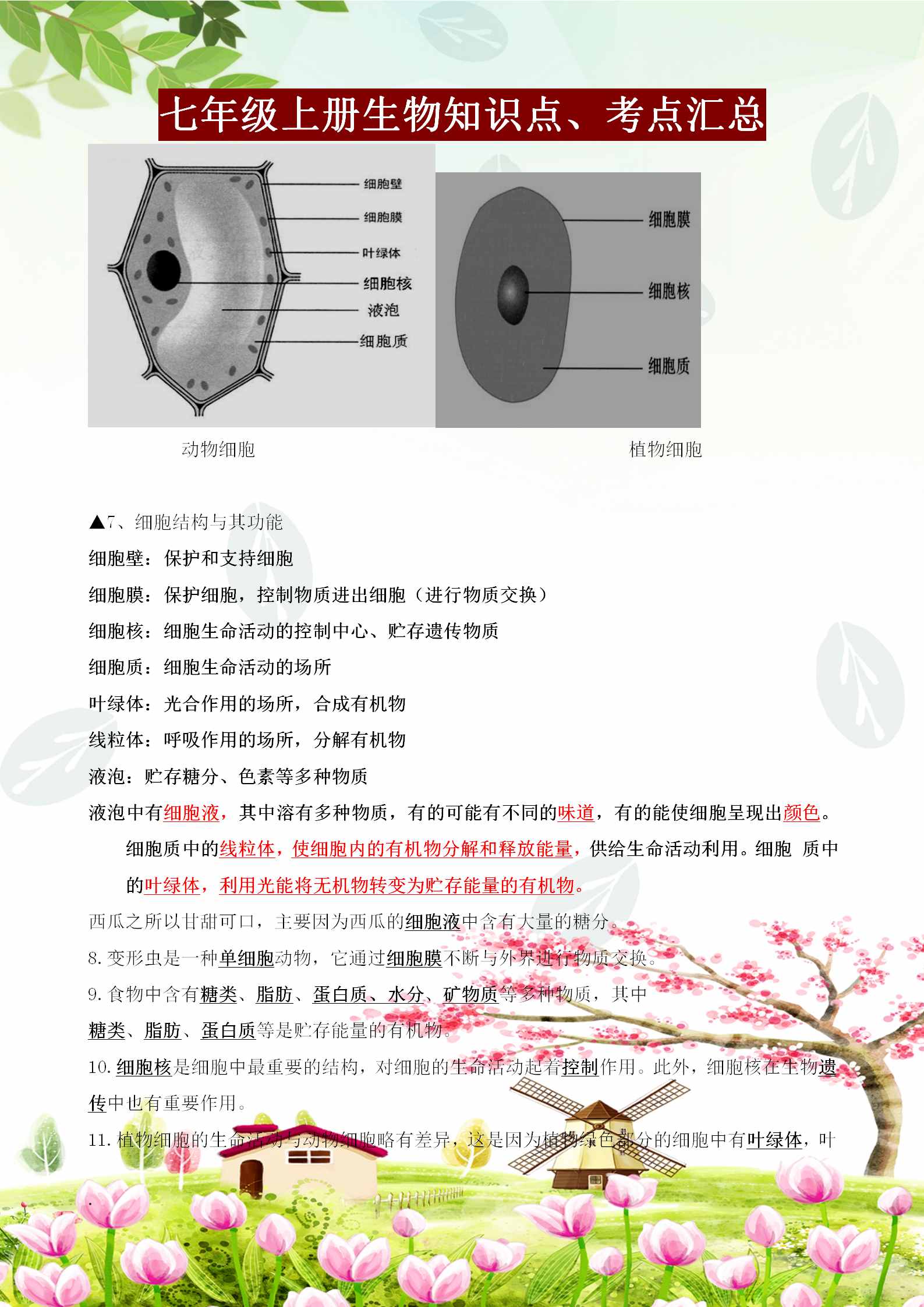 七年级上册生物必背知识点、考点汇总，这样背记节省80%的时间