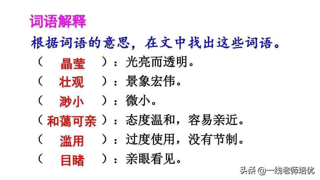 统编六年级上册第18课《只有一个地球》重点知识点+课件