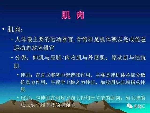 痉挛是什么意思(痉挛是什么症状)
