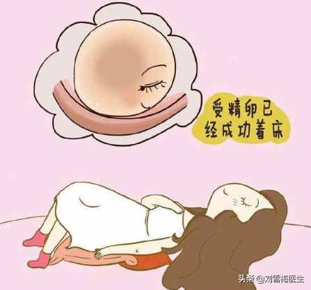排卵期一共有几天？哪一天更容易怀孕呢？