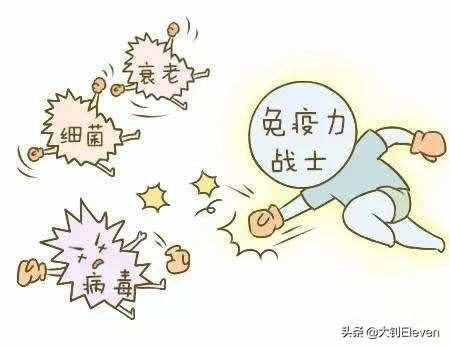 为什么蝙蝠心跳每分钟1000次，携带上百种病毒却能活40岁？
