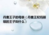 丹麦王子的母亲（丹麦王妃玛丽嫁的王子叫什么）