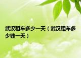 武汉租车多少一天（武汉租车多少钱一天）