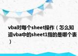 vba对每个sheet操作（怎么知道vba中的sheet1指的是哪个表）