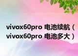 vivox60pro 电池续航（vivox60pro 电池多大）