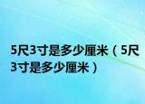 5尺3寸是多少厘米（5尺3寸是多少厘米）