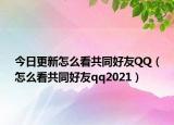 今日更新怎么看共同好友QQ（怎么看共同好友qq2021）
