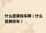 什么是黄标车辆（什么是黄标车）