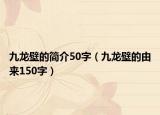 九龙壁的简介50字（九龙壁的由来150字）