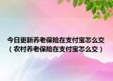 今日更新养老保险在支付宝怎么交（农村养老保险在支付宝怎么交）