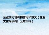企业文化培训的作用和意义（企业文化培训有什么意义呀）