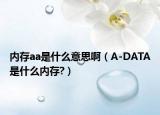 内存aa是什么意思啊（A-DATA是什么内存?）