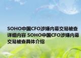 SOHO中国CFO涉嫌内幕交易被查详细内容 SOHO中国CFO涉嫌内幕交易被查具体介绍