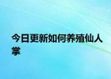 今日更新如何养殖仙人掌