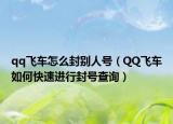 qq飞车怎么封别人号（QQ飞车如何快速进行封号查询）