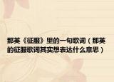 那英《征服》里的一句歌词（那英的征服歌词其实想表达什么意思）