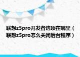 联想z5pro开发者选项在哪里（联想z5pro怎么关闭后台程序）