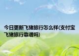 今日更新飞猪旅行怎么样(支付宝飞猪旅行靠谱吗)