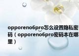 opporeno6pro怎么设置隐私密码（opporeno6pro密码本在哪里）
