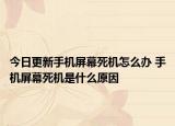 今日更新手机屏幕死机怎么办 手机屏幕死机是什么原因