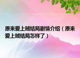 原来爱上贼结局剧情介绍（原来爱上贼结局怎样了）