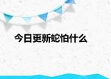 今日更新蛇怕什么
