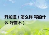 升龙道（怎么样 写的什么 好看不）