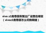 vivo z1青春版恢复出厂设置在哪里（vivoz1青春版怎么切换网络）