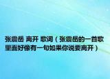 张震岳 离开 歌词（张震岳的一首歌里面好像有一句如果你说要离开）