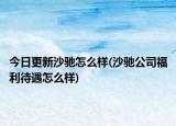 今日更新沙驰怎么样(沙驰公司福利待遇怎么样)