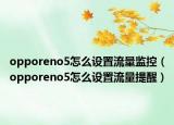 opporeno5怎么设置流量监控（opporeno5怎么设置流量提醒）