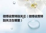 微博设置特别关注（微博设置特别关注在哪里）