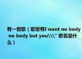 有一首歌（歌里有I want no body no body but you\