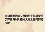 当日最新消息 7月起村干部又要忙了严查3件事 粮补大幅上涨何时打卡呢