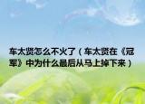 车太贤怎么不火了（车太贤在《冠军》中为什么最后从马上掉下来）