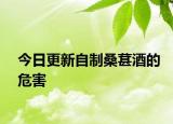 今日更新自制桑葚酒的危害