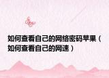 如何查看自己的网络密码苹果（如何查看自己的网速）