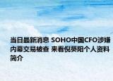 当日最新消息 SOHO中国CFO涉嫌内幕交易被查 来看倪葵阳个人资料简介
