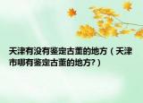 天津有没有鉴定古董的地方（天津市哪有鉴定古董的地方?）